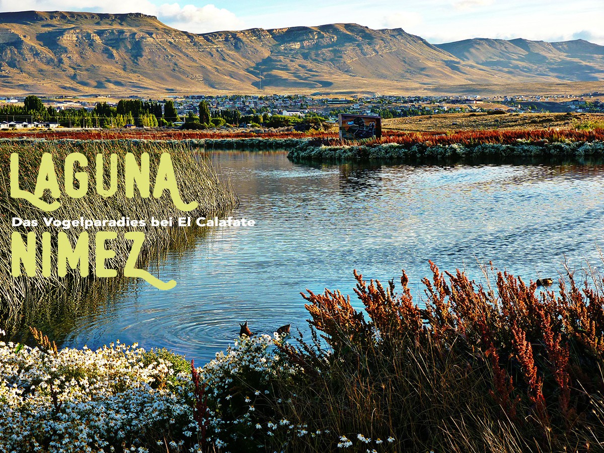 Laguna Nimez