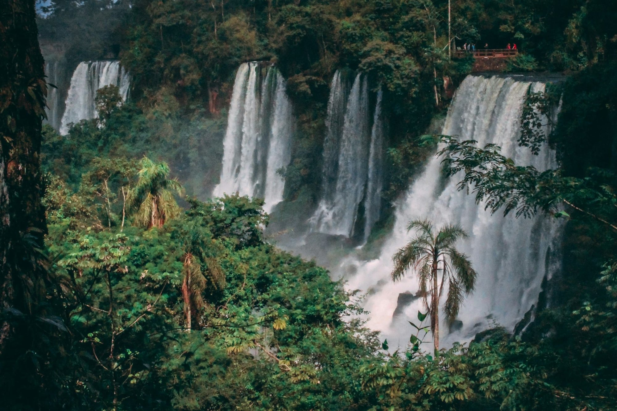 Iguazú-Wasserfälle im tropischen Regenwald