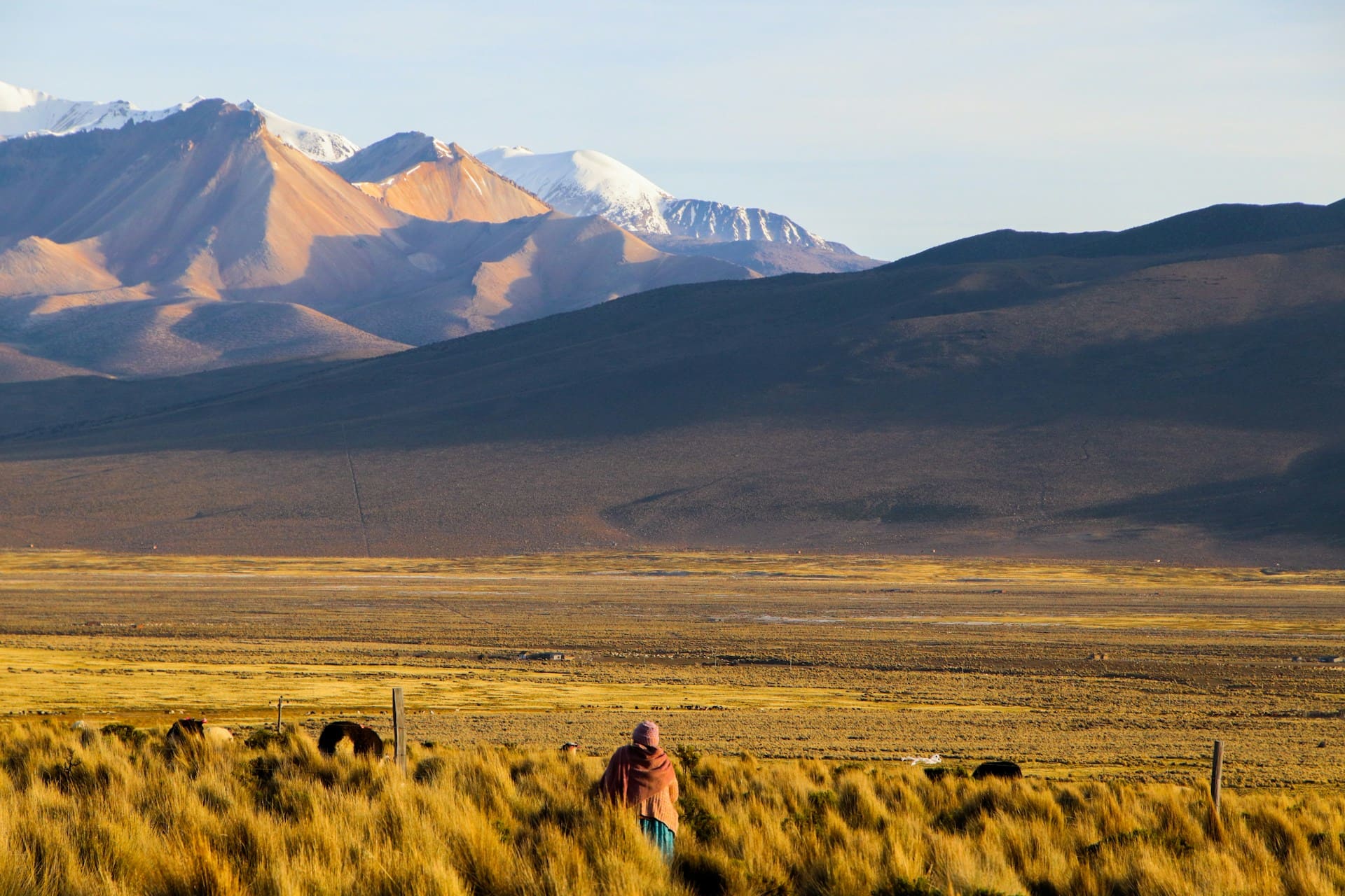 Altiplano Landschaft in den Anden