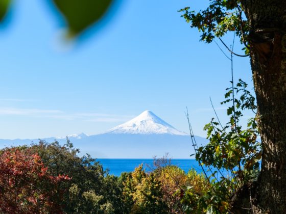 Chiles kleiner Süden - 7 Orte, die du unbedingt besuchen solltest 1