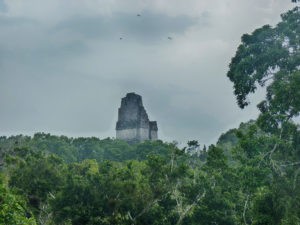 Tikal