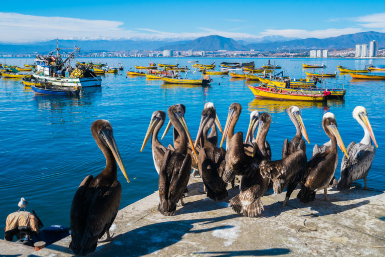 Coquimbo – Das kleine Valparaiso im Norden Chiles