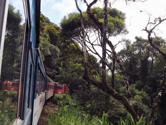 Serra Verde Express | Eine traumhafte Zugfahrt von Curitiba nach Morretes im Süden Brasiliens 1