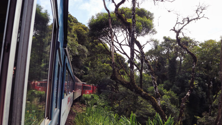 Serra Verde Express | Eine traumhafte Zugfahrt von Curitiba nach Morretes im Süden Brasiliens