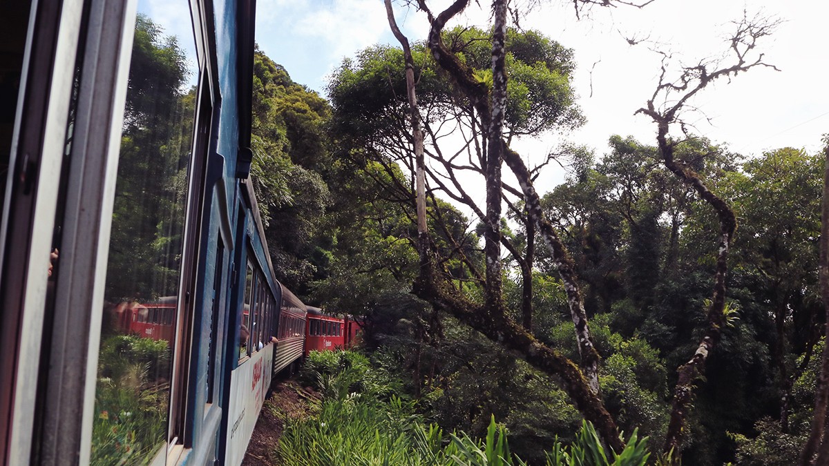 Serra Verde Express | Eine traumhafte Zugfahrt von Curitiba nach Morretes im Süden Brasiliens 1