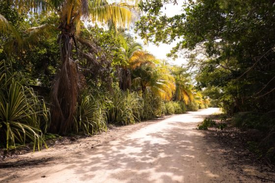 Im Dschungel von Yucatán: Zu Gast im Centro Ecoturistico Kiichpam Kaax