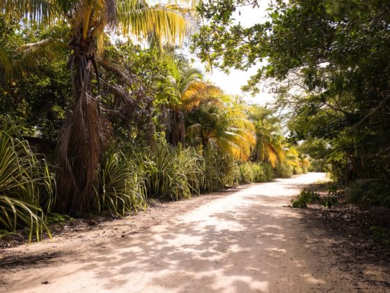 Im Dschungel von Yucatán: Zu Gast im Centro Ecoturistico Kiichpam Kaax