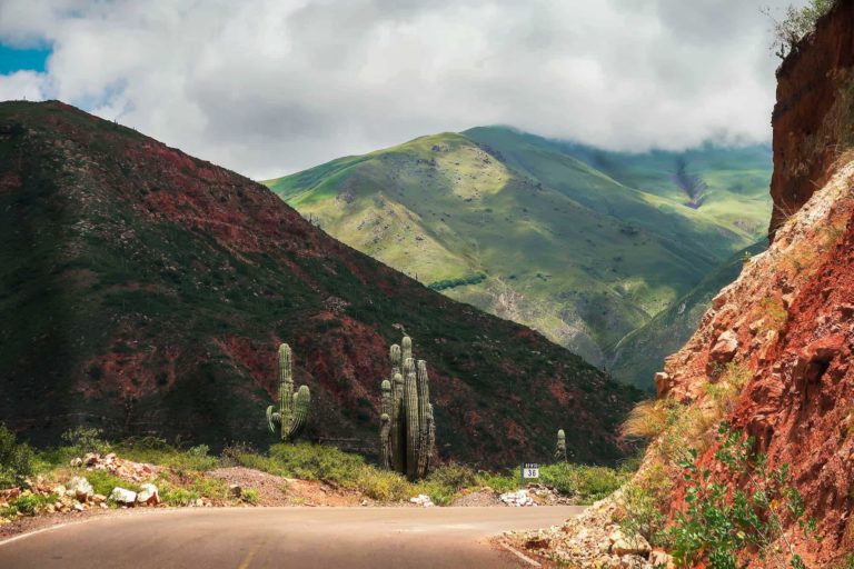 Argentiniens Nordwesten | 8 Gründe für einen Besuch der Salta-Region
