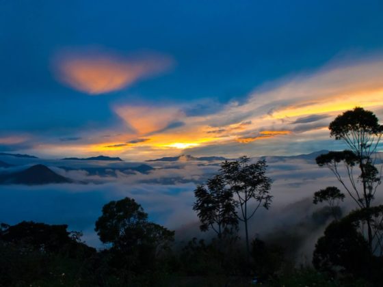 Südamerika Nationalparks - 11 traumhafte Schutzgebiete für Naturfreunde