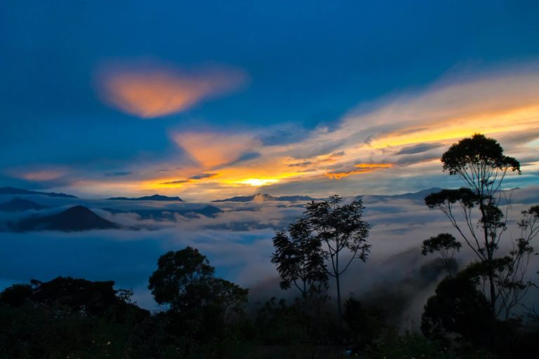 Südamerika Nationalparks – 11 traumhafte Schutzgebiete für Naturfreunde