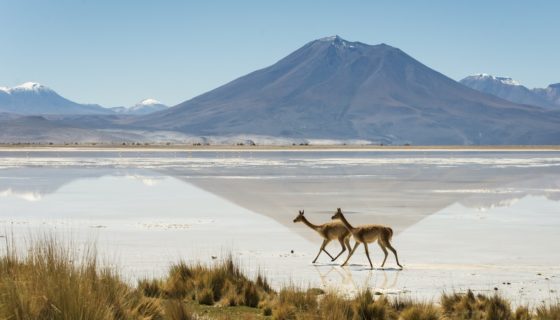 7 atemberaubende Nationalparks in Chile von Nord nach Süd