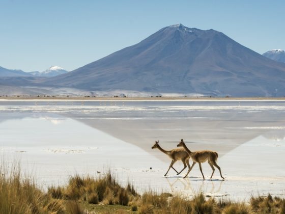 7 atemberaubende Nationalparks in Chile von Nord nach Süd