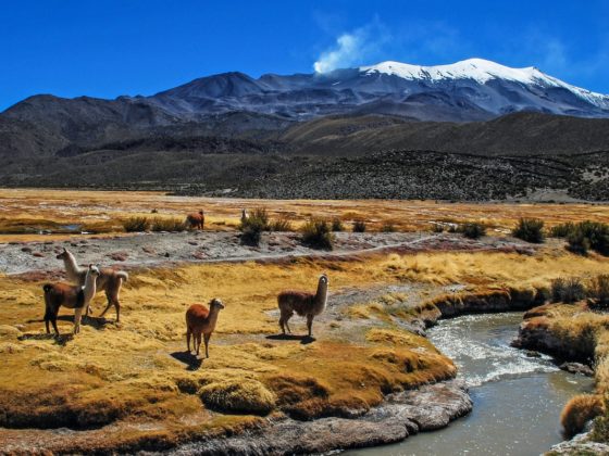 Backpacking in Bolivien - Erlebe das ursprüngliche Südamerika! 2