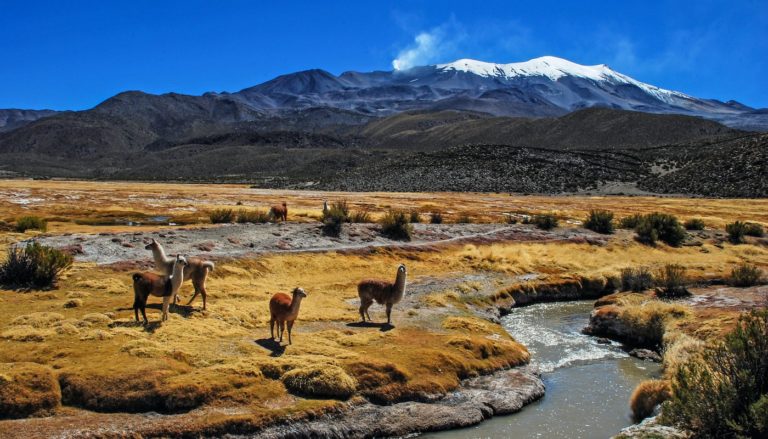 Backpacking in Bolivien: Route, Kosten und Tipps