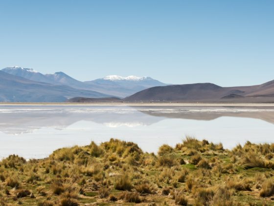 Chile in 3 Wochen | Die beste Route für Budgetreisende 4