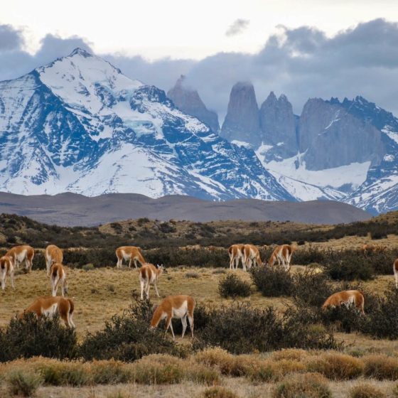 Torres del Paine Nationalpark - die besten Trekking Tipps 2019/20 5