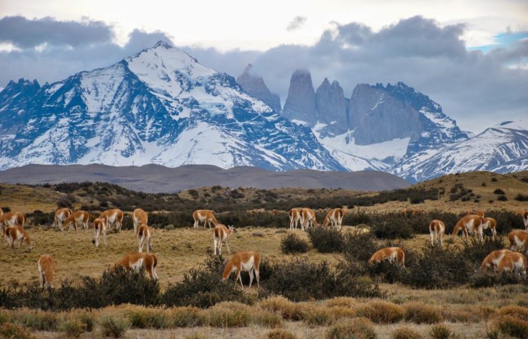 Torres del Paine Nationalpark – Der ultimative Guide 2026/27