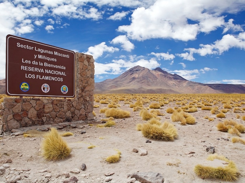 Atacama Wüste