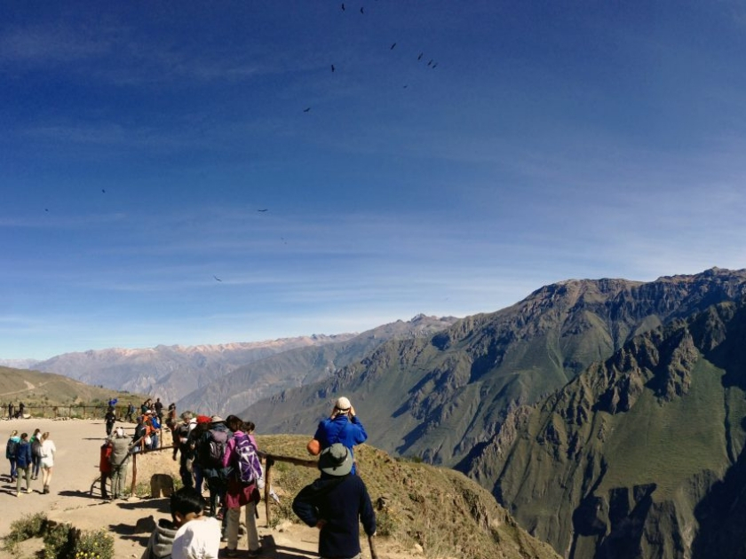 Colca-Canyon im Süden von Peru: Zu Gast bei den Kondoren