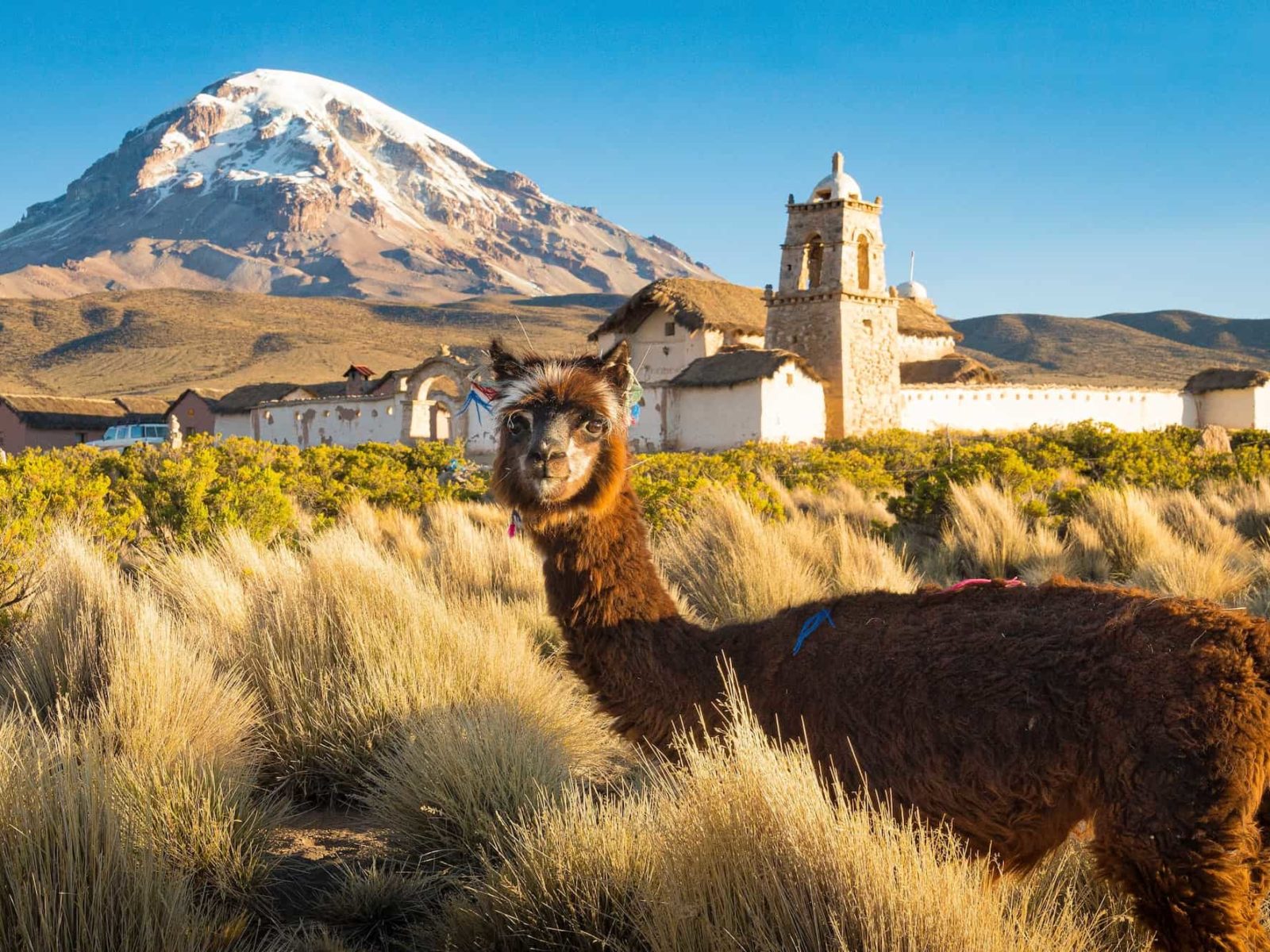 Southtraveler Der Reiseblog F r Zentral Und S damerika