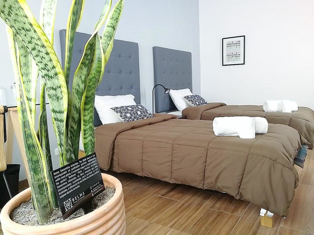 Lima Peru Boutique Hotel