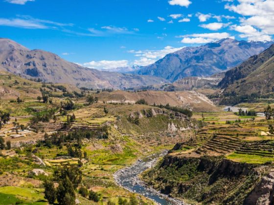 Der Colca Canyon im Süden von Peru: Zu Gast bei den Kondoren 12