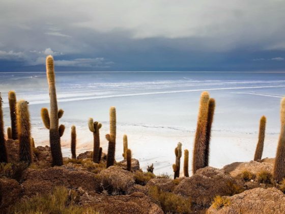 Salar de Uyuni | Der Guide für die Salzwüste in Bolivien 6