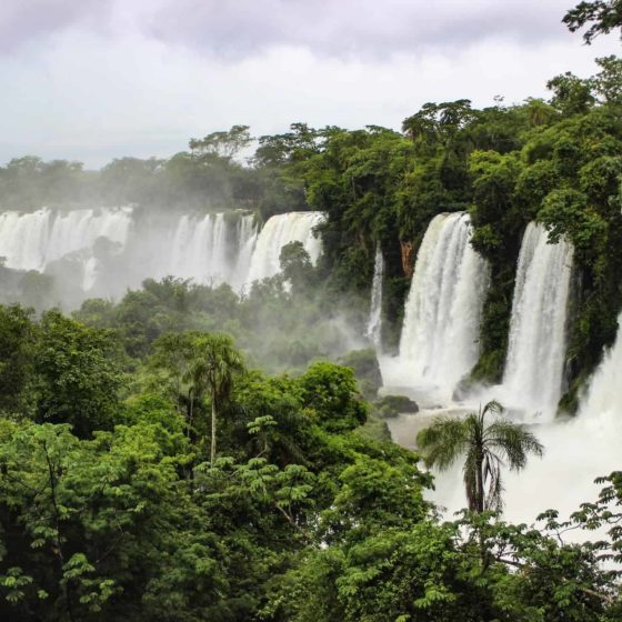 Iguazu-Wasserfälle in Argentinien & Brasilien: Die besten Tipps zum Besuch 3
