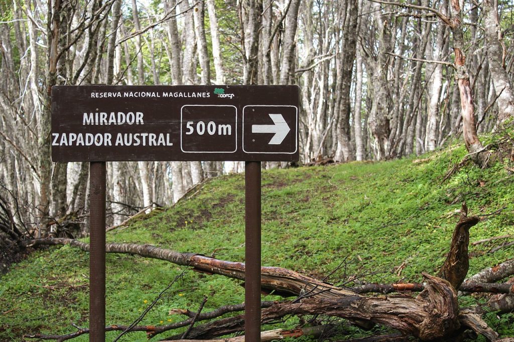 1280px Reserva Nacional Magallanes