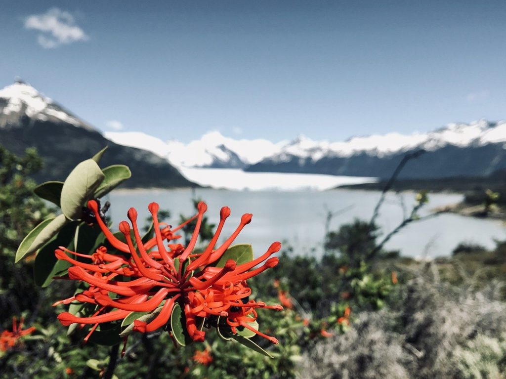 Perito Moreno Gletscher, Argentinien: Die besten Tipps für den Besuch