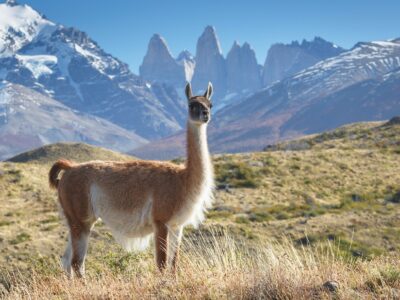 Chile