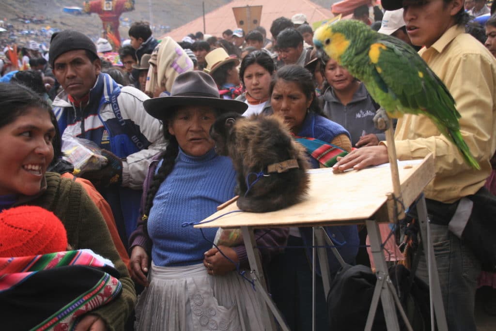 Peru Tanz 3