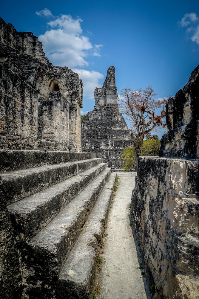 Tikal Ruinen Blick