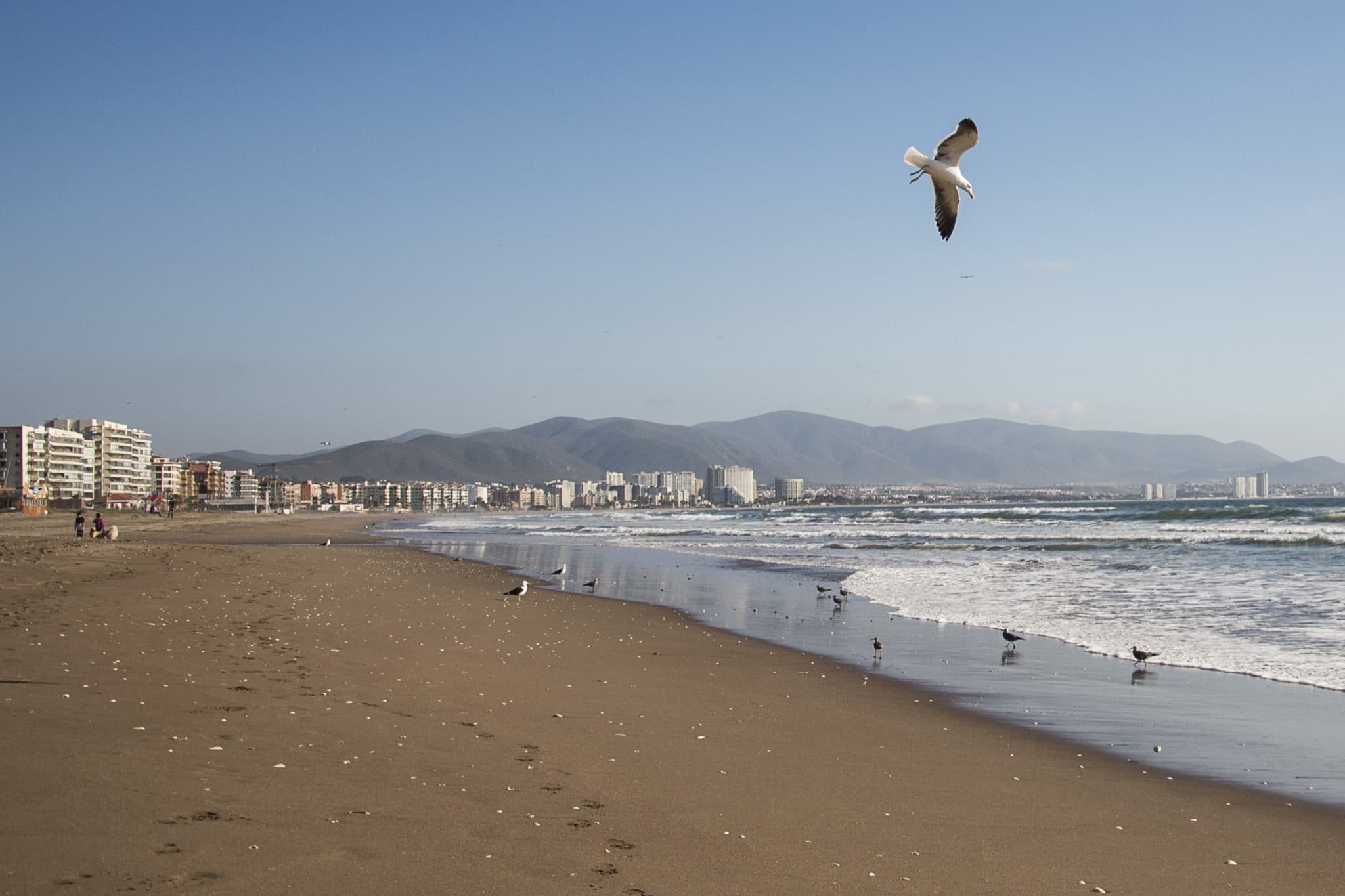 La Serena in Chile 7 Sehenswürdigkeiten in der Küstenstadt