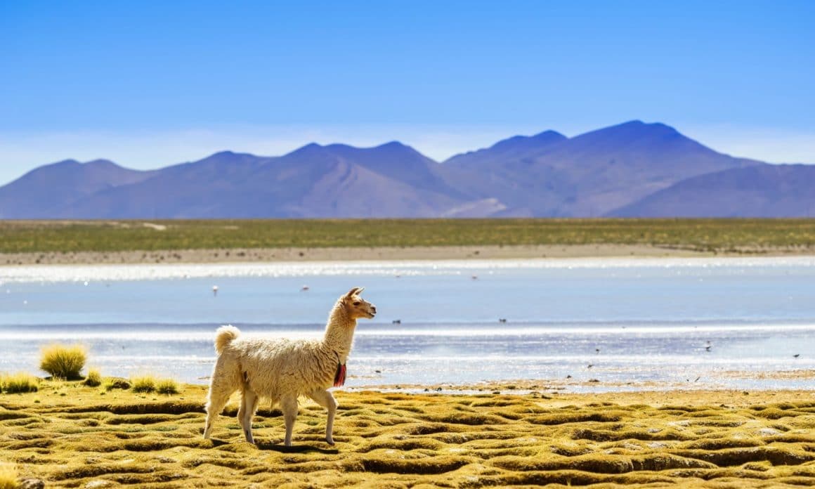 Southtraveler Podcast #15 - Bolivien und Peru mit Jennifer McCann