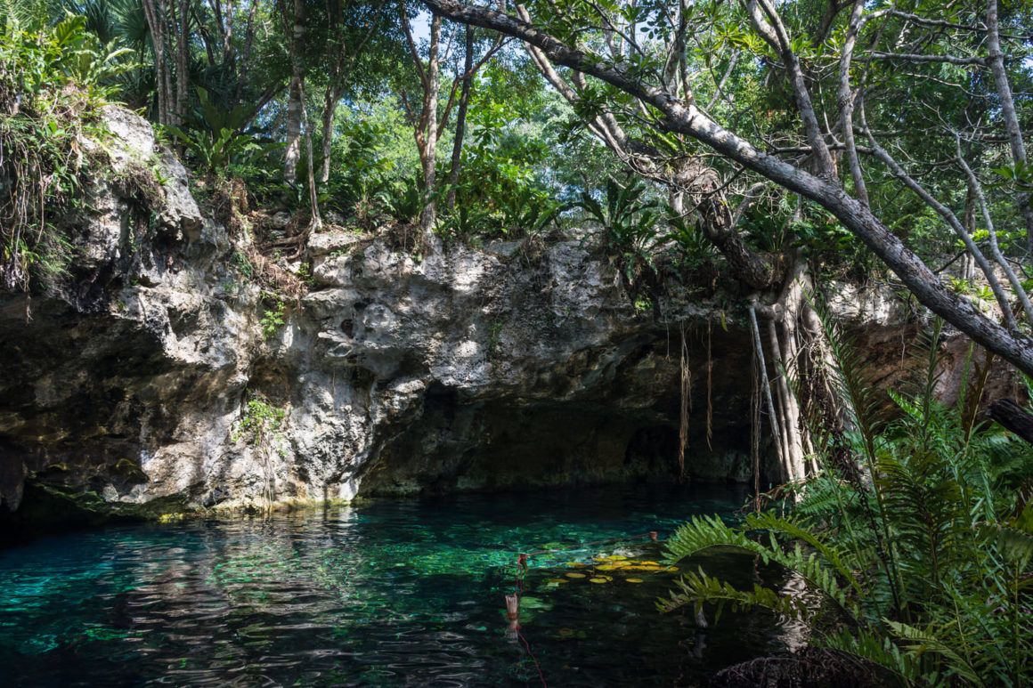 PlayadelCarmen Rio Secreto 1