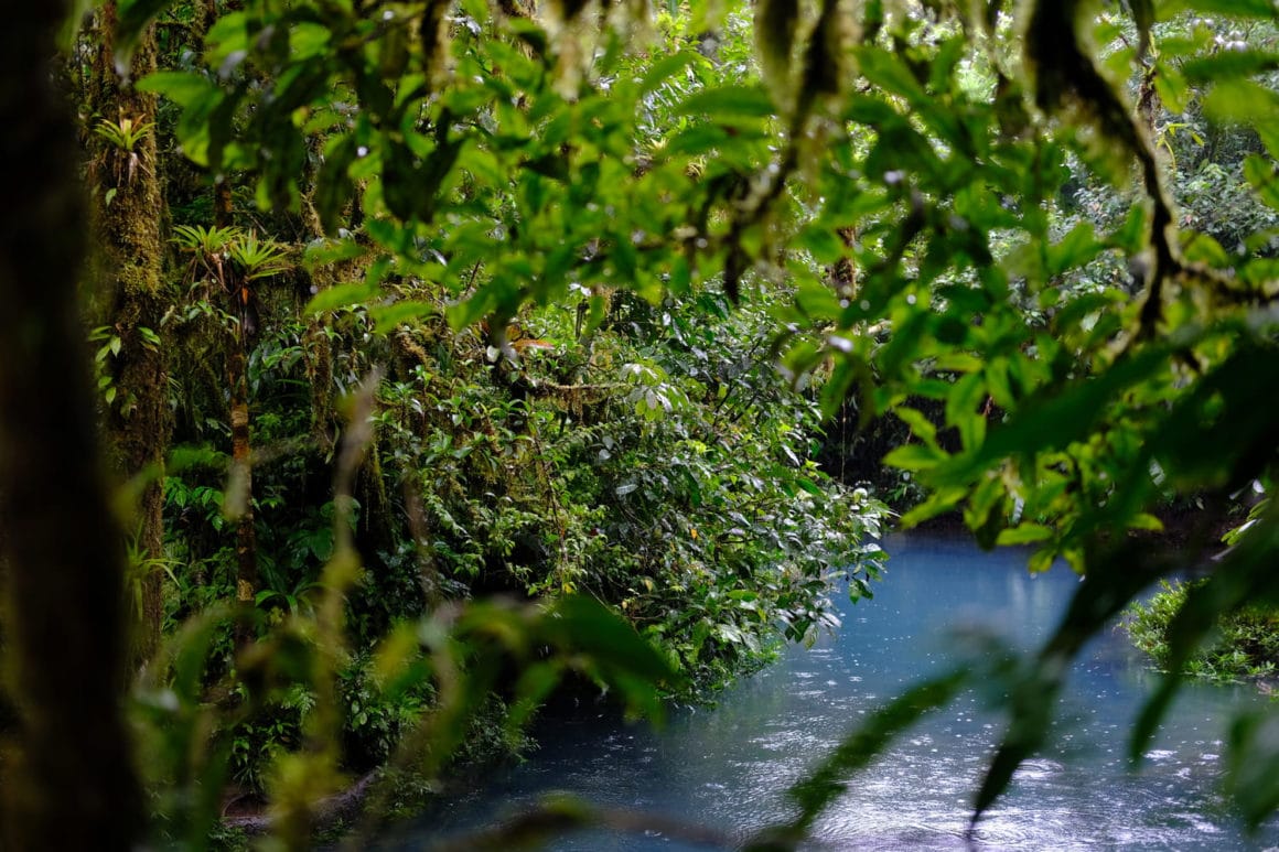 Rio Celeste und Tenorio Nationalpark: Traumhafte Natur im Norden Costa Ricas 2