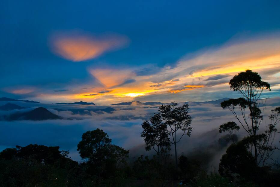 Mindo Ecuador Nebelwald