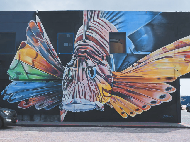 Aruba Street Art