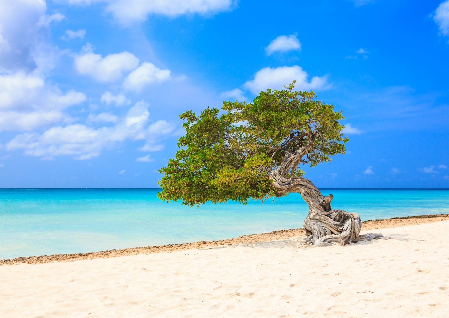 Aruba Beach