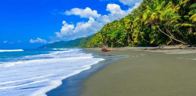 Corcovado Nationalpark in Costa Rica: traumhafte Artenvielfalt!