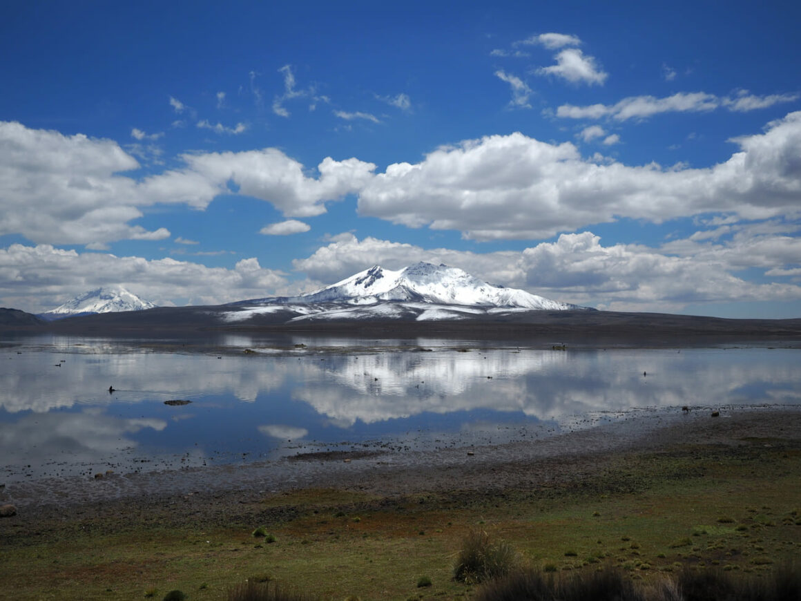 Lauca Nationalpark: Natürliche Schönheit im Norden Chiles