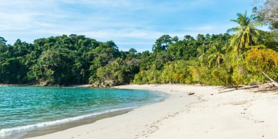 Manuel Antonio Nationalpark: Strand und Palmen