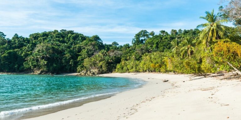 Manuel Antonio Nationalpark, Costa Rica: 10 ultimative Tipps für einen Besuch!