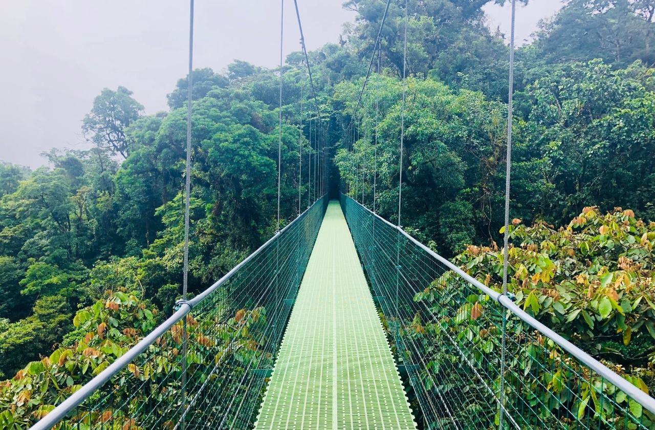 Costa Rica Sehenswürdigkeiten Monteverde