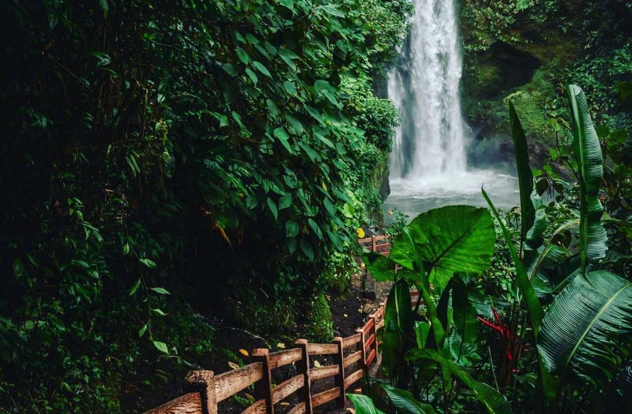 Waterfall Garden Costa Rica