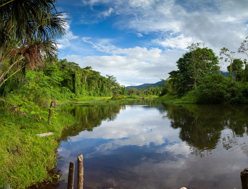 Manu Nationalpark Sandoval