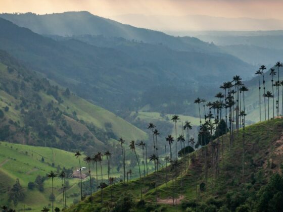 Valle de Cocora Kolumbien