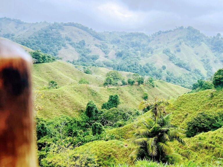 Ciudad Perdida Der ultimative Guide zum Besuch der verlorenen Stadt