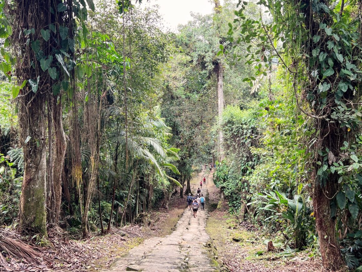 Ciudad Perdida Der ultimative Guide zum Besuch der verlorenen Stadt